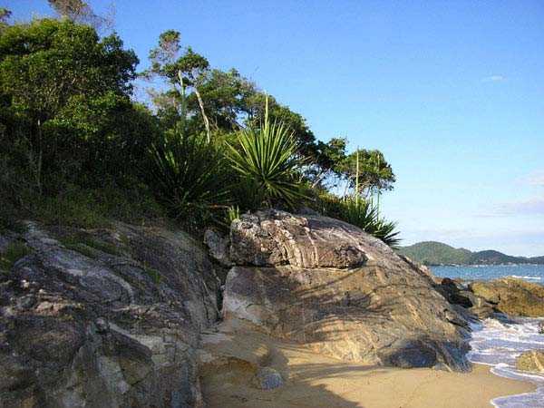 Самые экзотические острова в бразилии