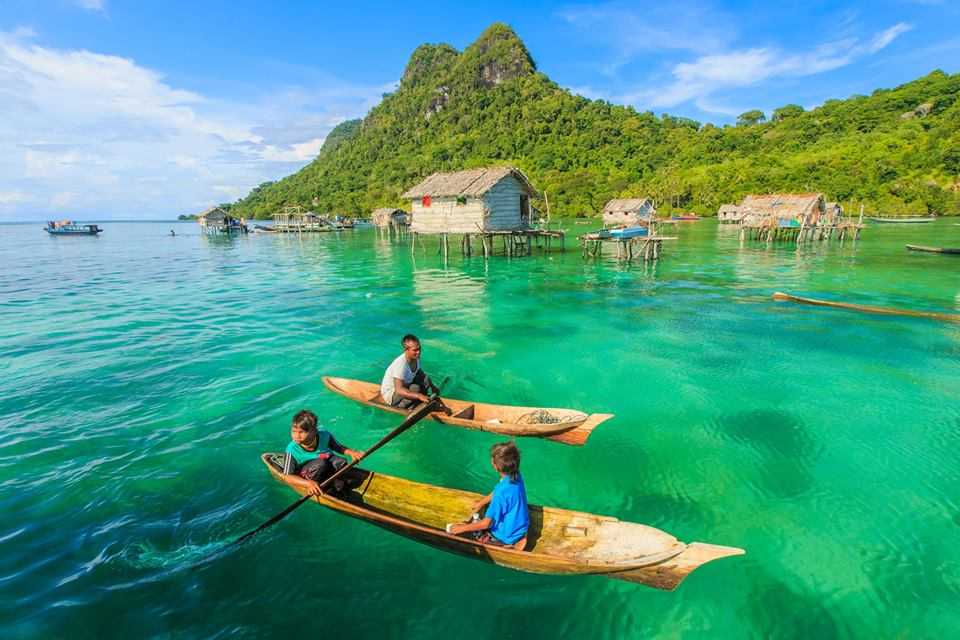​50 интересных  фактов об острове борнео — общенет