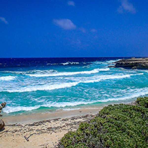 Отпуск на пляжах бонэйра - лучшие бухты, пляжи и зоны отдыха