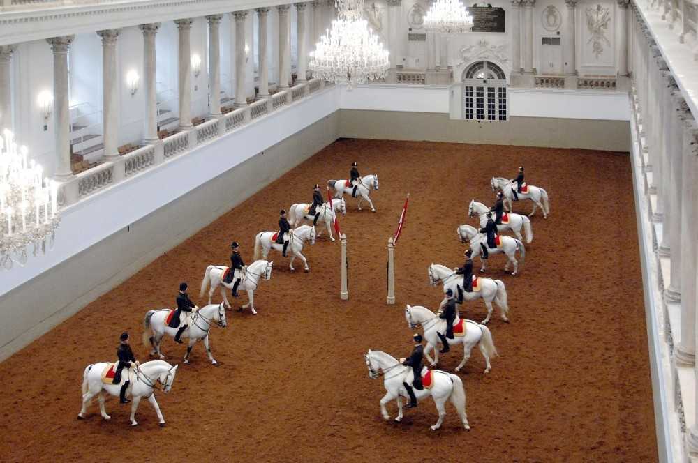 Клубы верховой езды испании, предлагающие лучшие конные маршруты . испания по-русски - все о жизни в испании