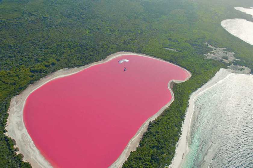 Фото Розового озера Хиллер в Австралии Большая галерея качественных и красивых фотографий Розового озера Хиллер, которые Вы можете смотреть на нашем сайте