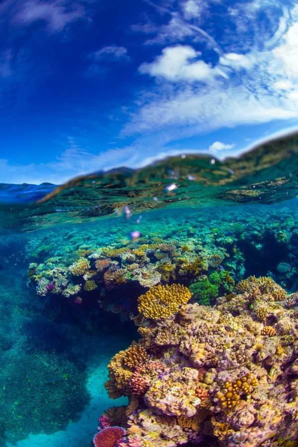 Большой барьерный риф. путешествие по райским уголкам планеты.