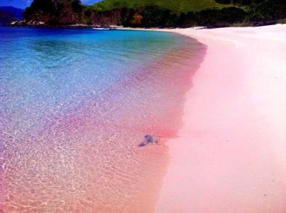 Багамы: острова, атлантис, пляжи, карта,время, погода, нассау