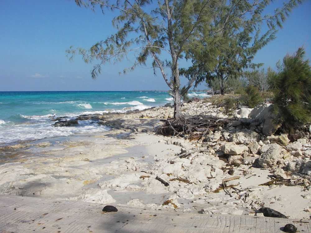 Нью-провиденс, багамские острова — отдых, пляжи, отели нью-провиденса от «тонкостей туризма»