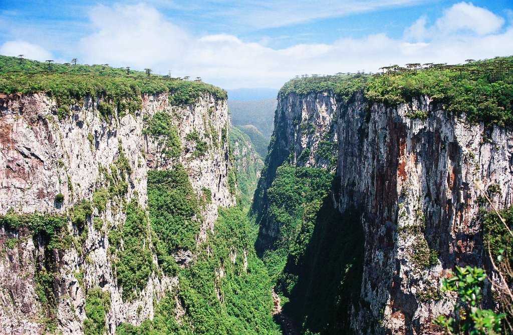 Национальный парк серра-ду-дивизор - википедия - serra do divisor national park