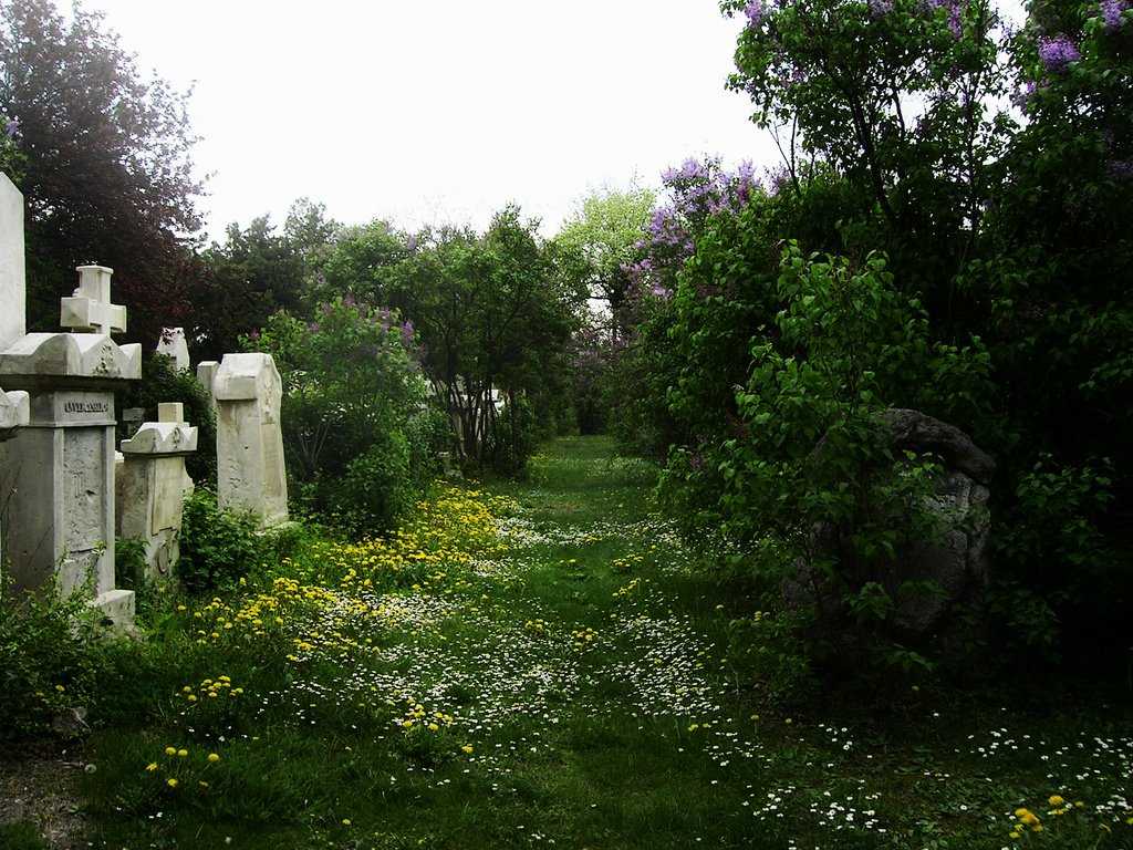 Американское кладбище в нормандии и мемориал - normandy american cemetery and memorial - abcdef.wiki