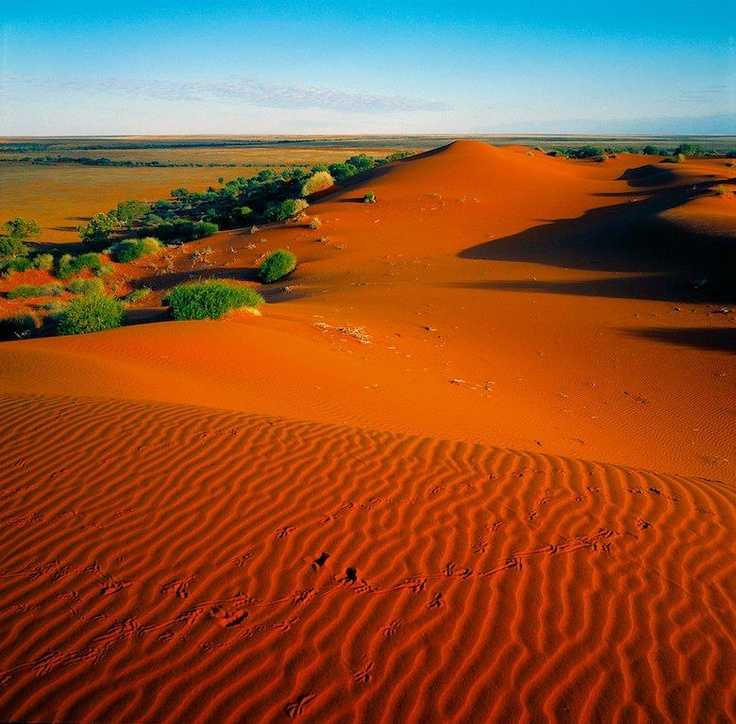 Пустыни австралии - вики