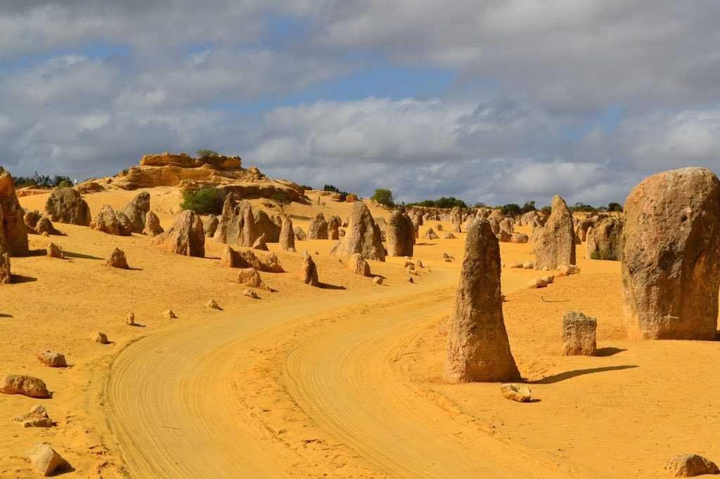 Пустыни австралии
