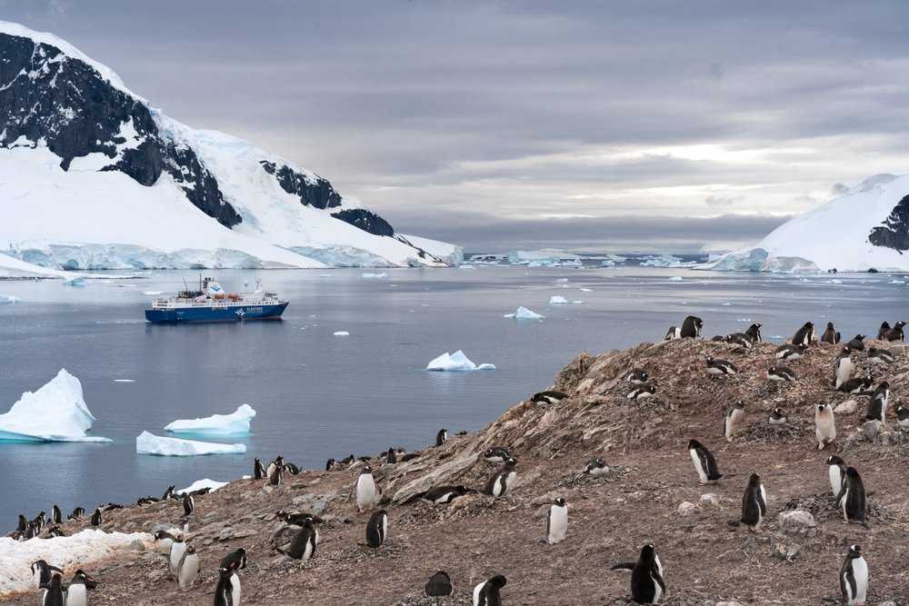 Фотографии Антарктиды Большая галерея качественных и красивых фото Антарктиды, на которых представлены города, достопримечательности, улицы и различные события Фотографии Антарктиды в нашей подборке сделаны как туристами, так и местными жителями