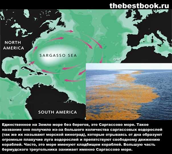 Фото Саргассова моря на Бермудских Островов. Большая галерея качественных и красивых фотографий Саргассова моря, которые Вы можете смотреть на нашем сайте...