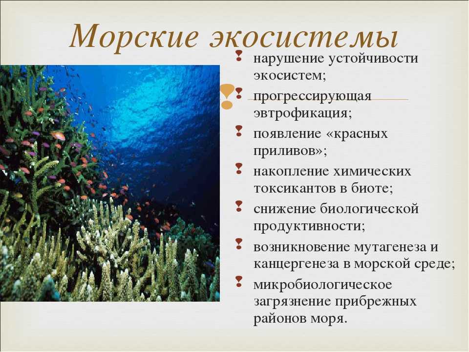 Красное море на карте и другие его особенности