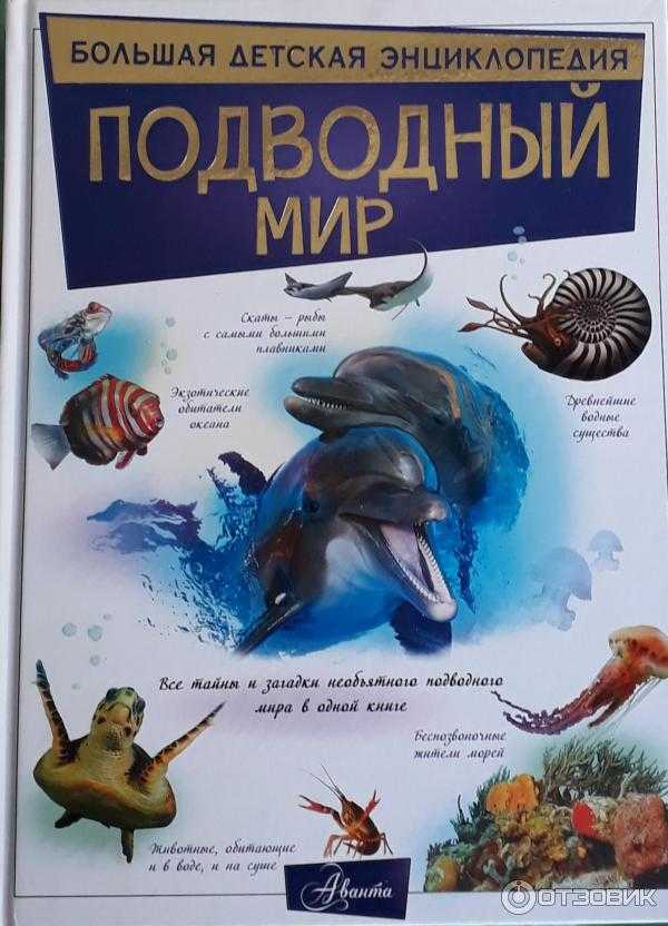 Мировой океан и его моря от автора: оксана зильберборд. авторская колонка на pskovlive.ru