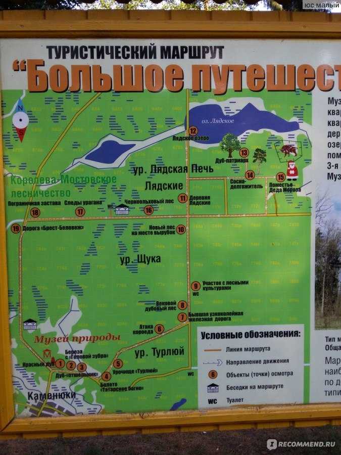 Национальный парк «беловежская пуща» беларусь - фото, описание, адрес на карте, отзывы, официальный сайт - белкрай