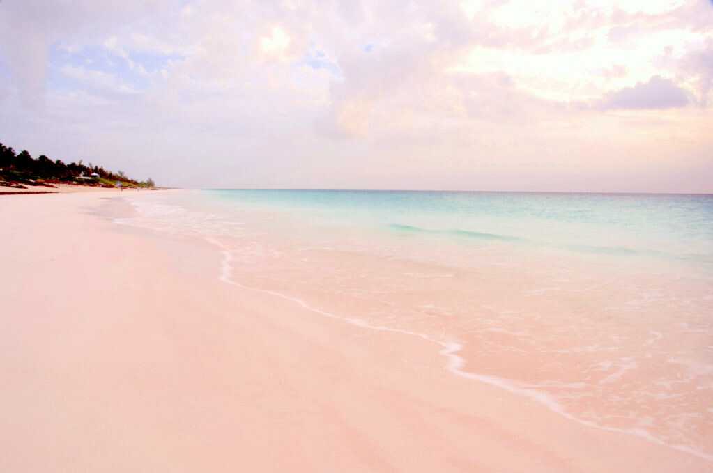 Розовый пляж на острове харбор (багамские острова) - фото, описание, как добраться