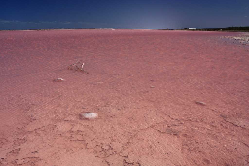 Озеро хиллер - розовое чудо австралии