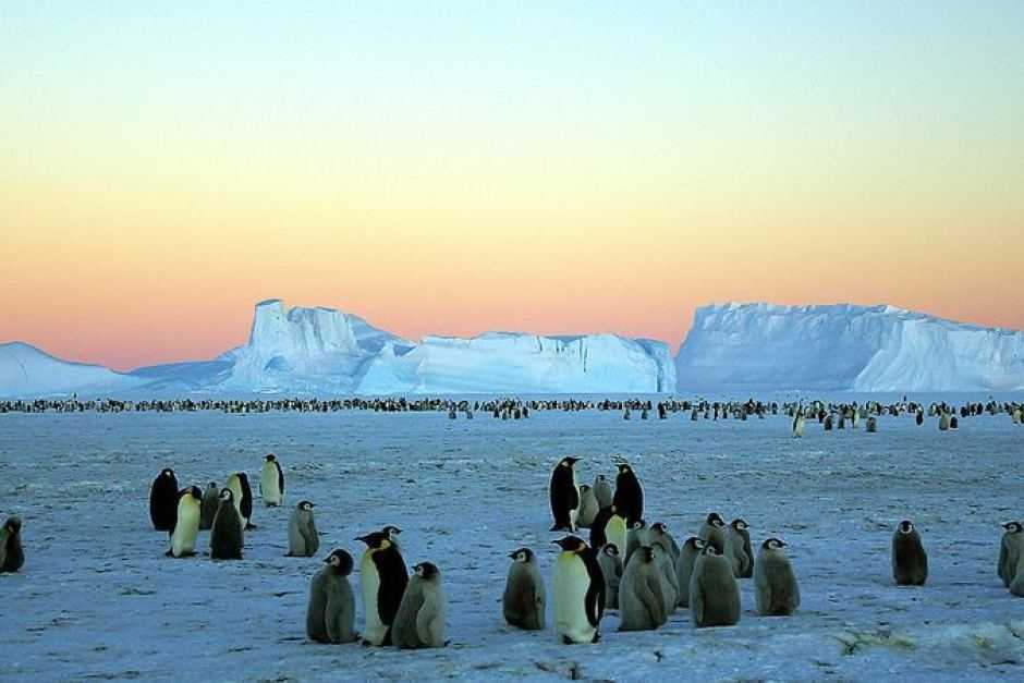 10 лучших вещей, которыми можно заняться в антарктиде