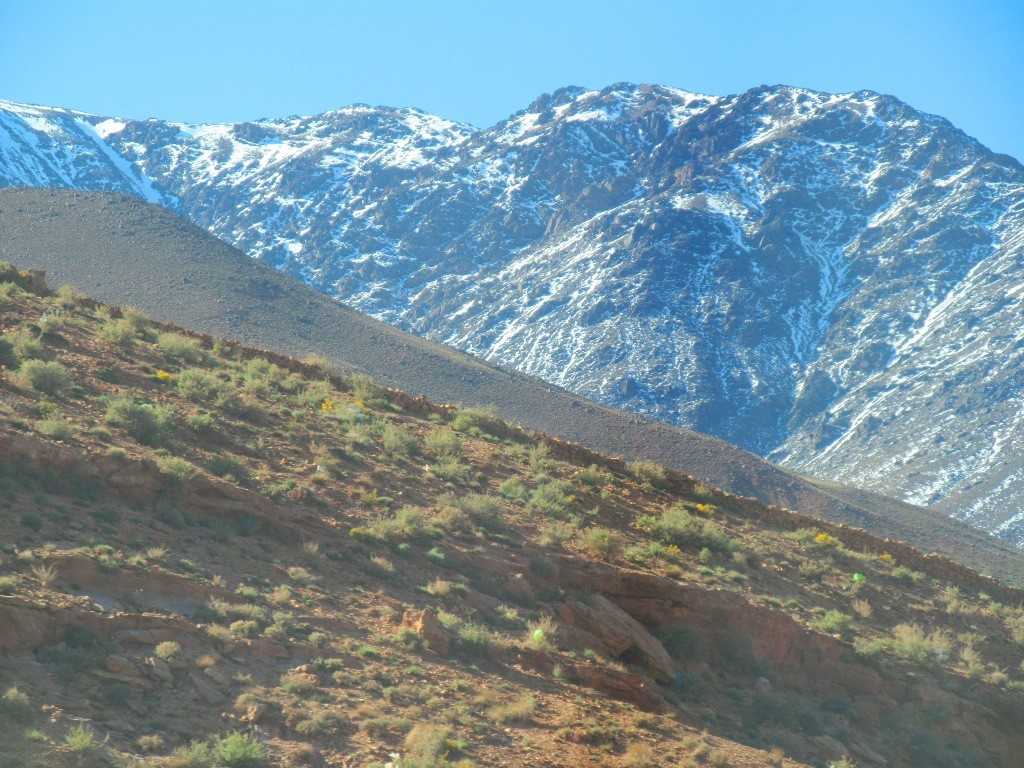 Атласские горы как географический объект северной африки: описание, климат и полезные ископаемые