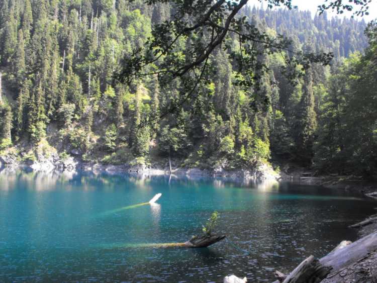 Озеро рица в абхазии: где находится и полная информация для туристов