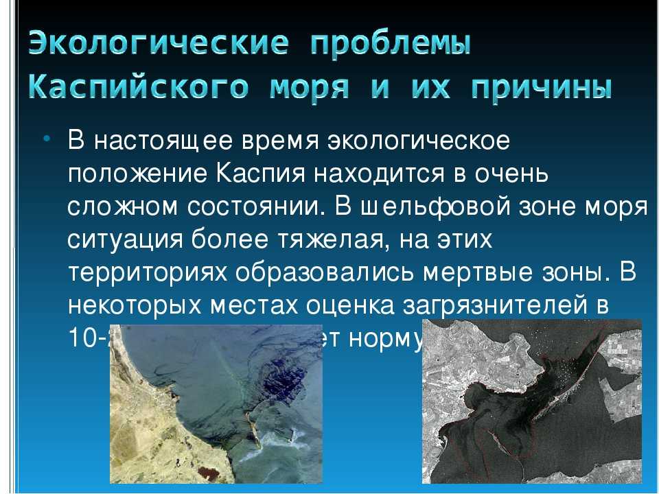 Каспийское море – самое большое озеро в мире