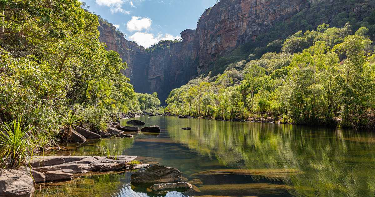 Север австралии в поисках крокодилов