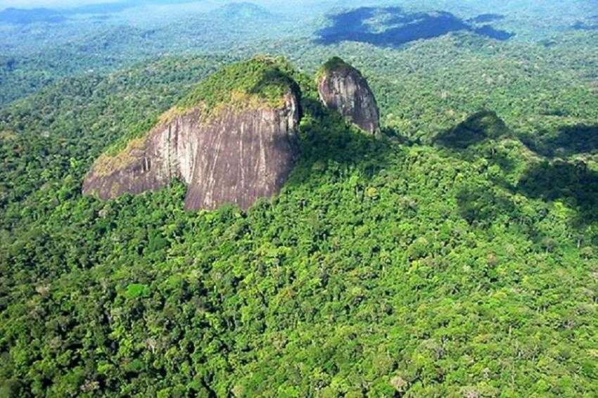 Национальный парк серра-ду-дивизор - википедия