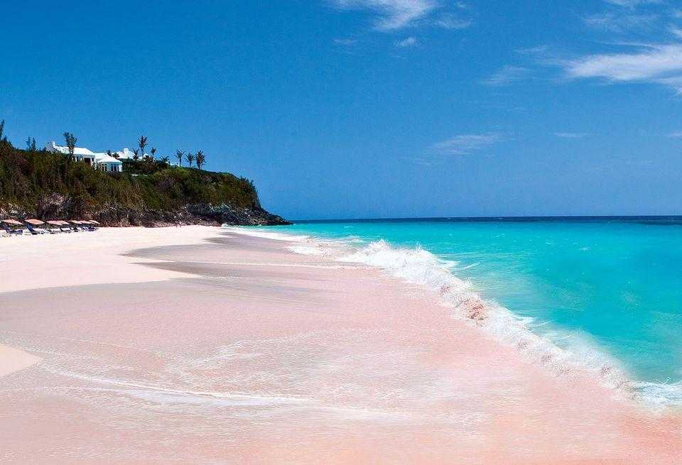 Розовые пляжи на багамах | science debate