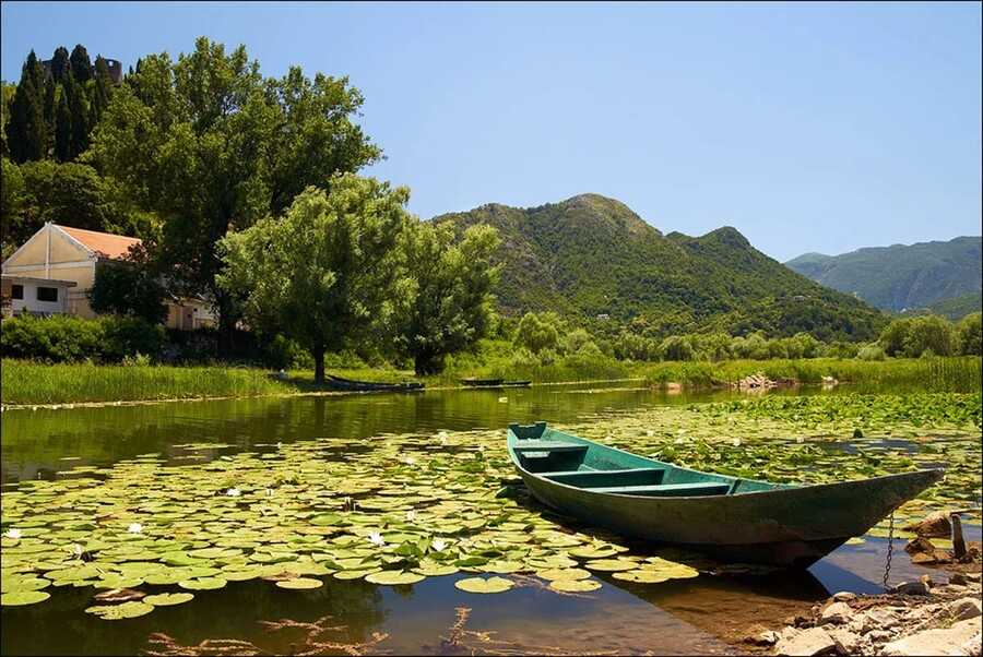 Скадарское озеро (lake skadar) описание и фото - черногория