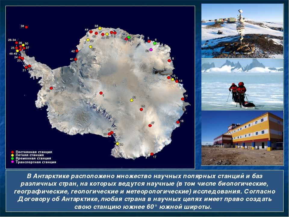 Краткая история открытия и исследования антарктиды — природа мира
