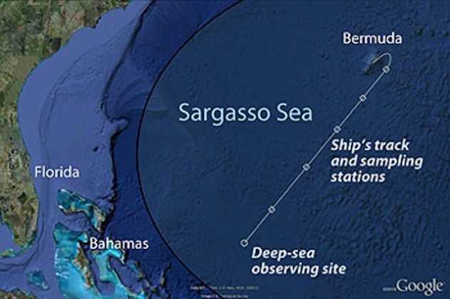 Где находится саргассово море на карте мира | интересный сайт