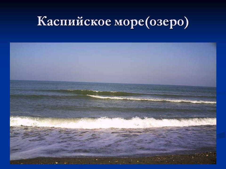 Каспийское море - глубина, соленость, какие реки впадают