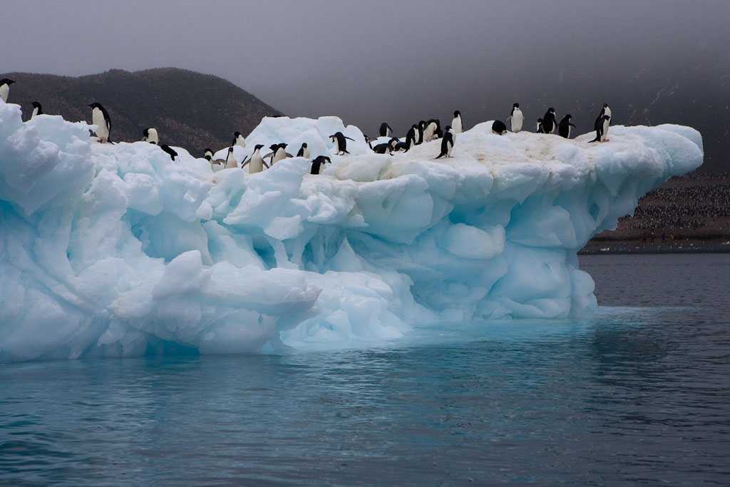 Антарктида: достопримечательности материка с фото и описаниями от tour express
