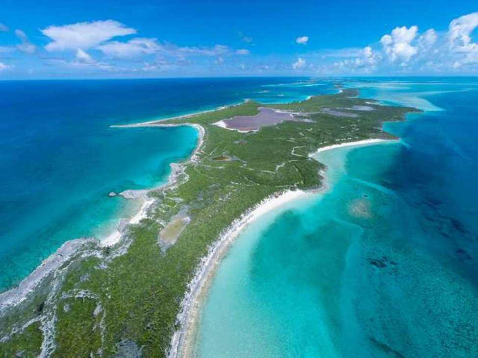 Багамские сосновые дворы - bahamian pineyards - abcdef.wiki