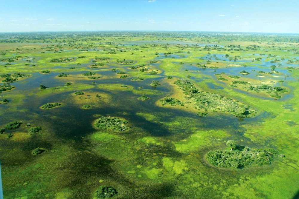 Дельта окаванго - okavango delta