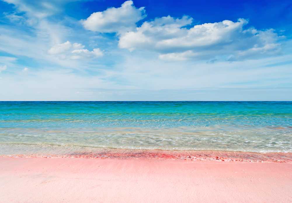 Розовый пляж багамы: отдых на острове харбор