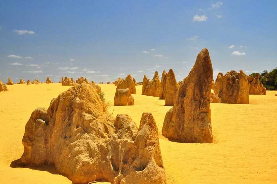 Пустыня гибсона: увлекательная туристическая поездка