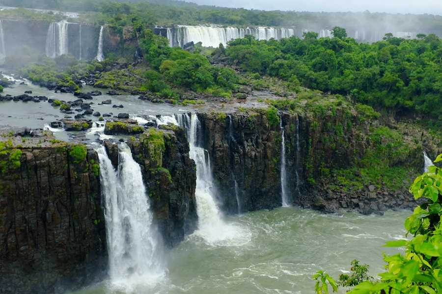 Леса Бразилии: Бассейн Амазонки, Сельва Южной Америки...
