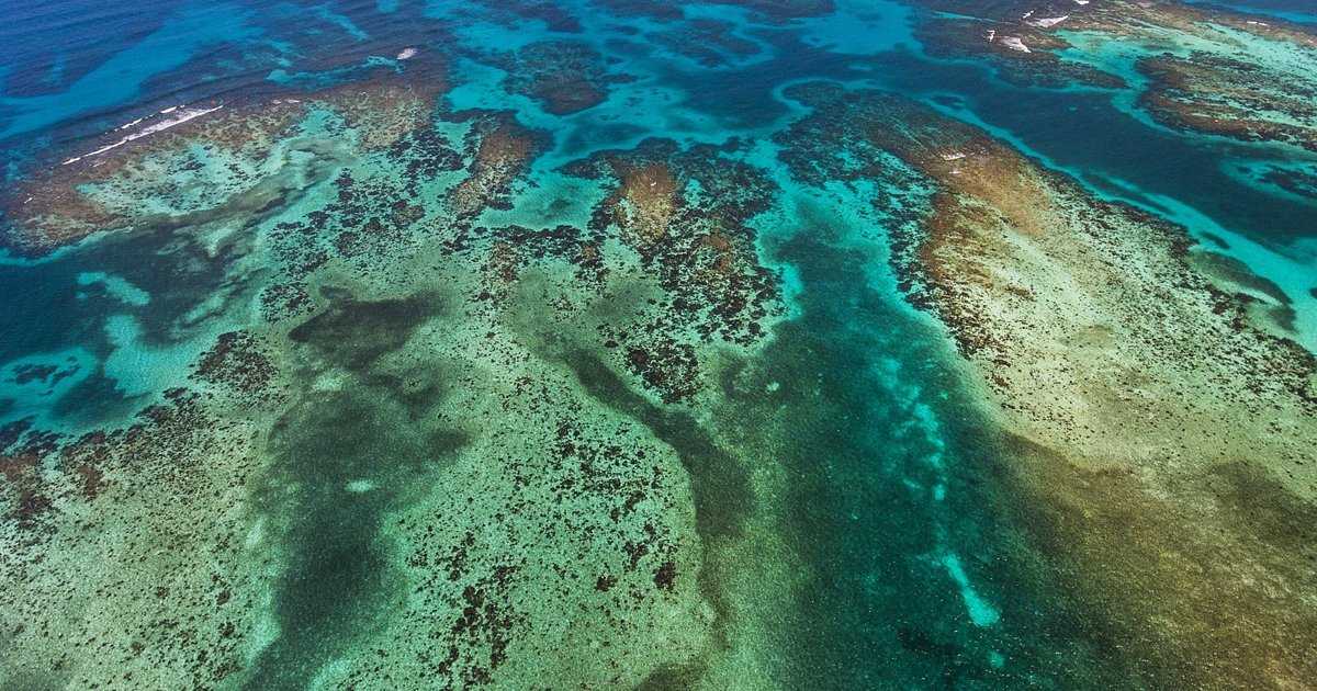 Белизский барьерный риф в гондурасе