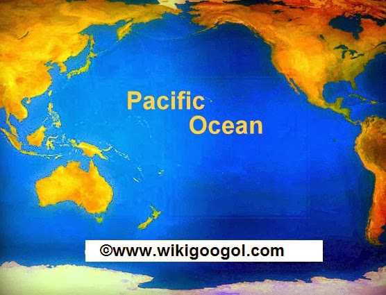 Южный океан или южный ледовитый океан - 5 океан нашей планеты