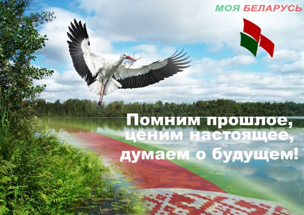 Топ-10 белорусских групп вконтакте, на которые стоит подписаться