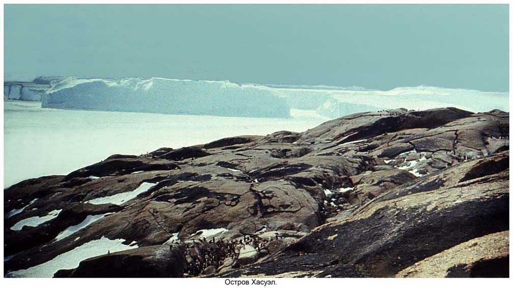 Континент, скрывающий древние тайны: 15 фотографий из антарктиды | brodude.ru