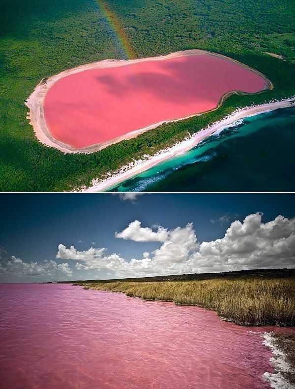 Самые красивые места в мире: розовое озеро хиллер в австралии