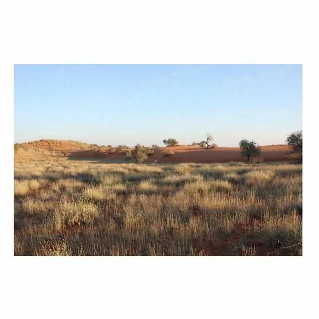 Пустыня калахари - kalahari desert