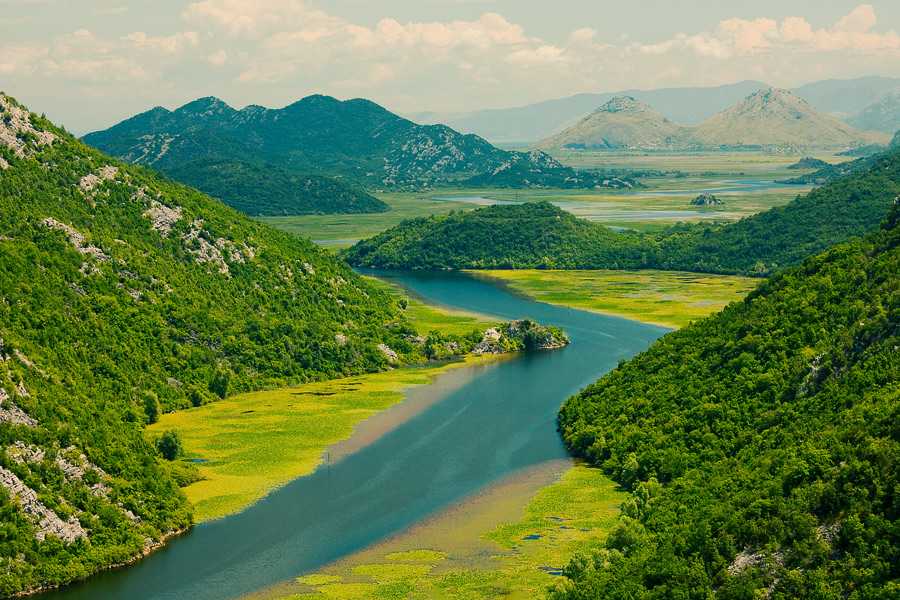 Национальный парк скадарское озеро в черногории