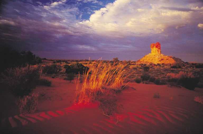 Пустыня гибсона: увлекательная туристическая поездка
set travel пустыня гибсона: увлекательная туристическая поездка