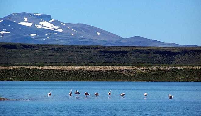 🏞 национальные парки аргентины: заповедники, рейтинг 2021, как добраться, отзывы, карта, описание