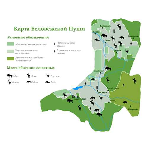Маршрут: брест - беловежская пуща национальный парк государственное природоохранное учреждение