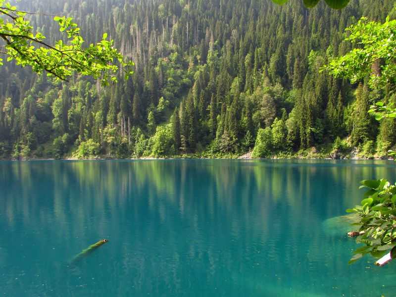 Озеро рица: фото озера в абхазии.