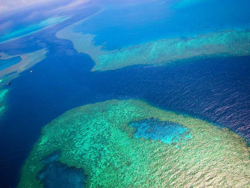 Большой барьерный риф и его достопримечательности | tourpedia.ru
