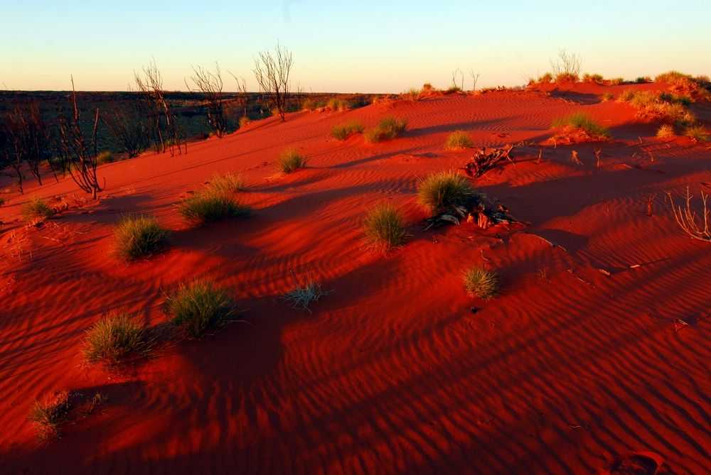 Какие природные зоны есть в австралии — описание, климат, почвы, животные и растения