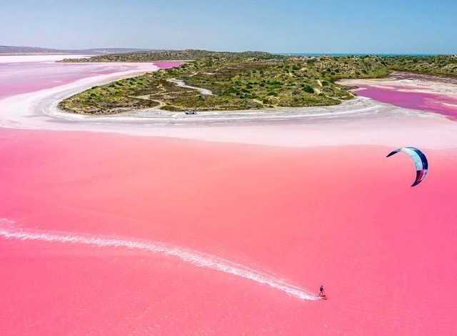 Почему озеро хиллиер окрашено в розовый цвет?